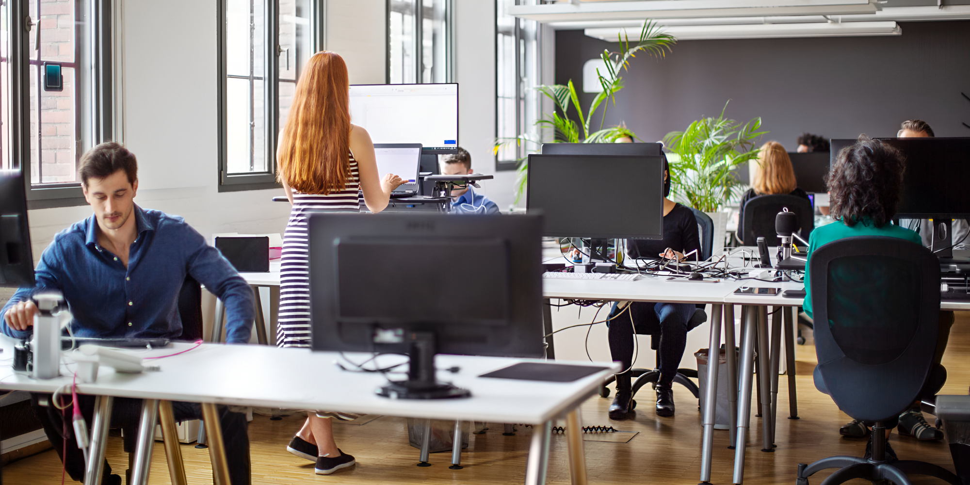 Dark financial planning